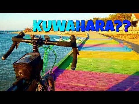 Kuwahara?? Federal pakai Dropbar kok Bagus ya - Sepeda MTB Touring Bike Check