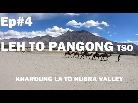 Leh to Pangong Lake | Khardungla Pass | Nubra Valley | Diskit | Leh Ladakh Road Trip 2019 ~Ep.04