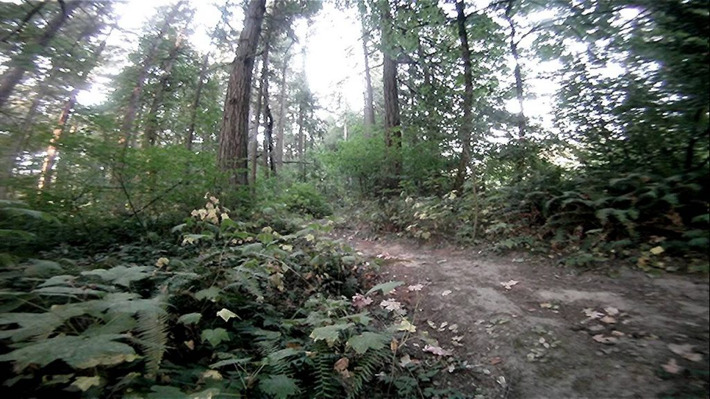 Mountain bike berms