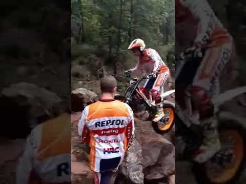Mountain bike video