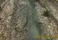 Wiesbaden Nerotal MTB Teil2