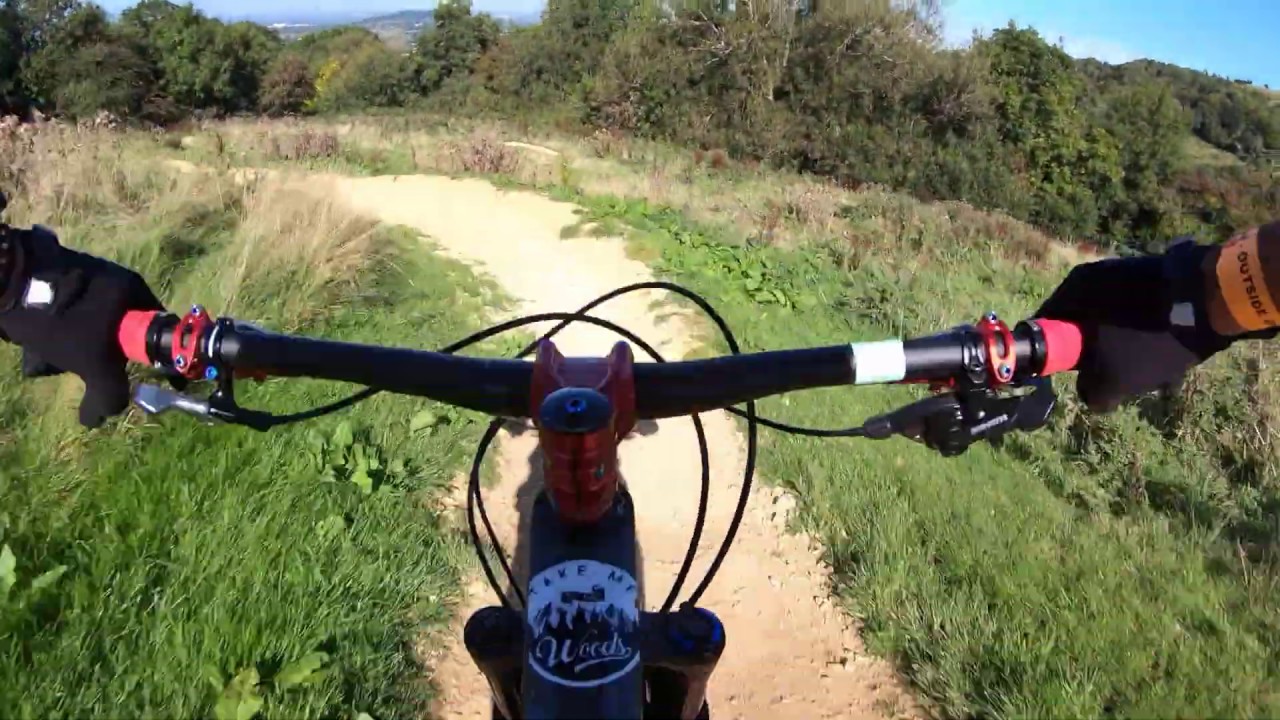 417 Bike Park - Blue Raccoon (Blue)