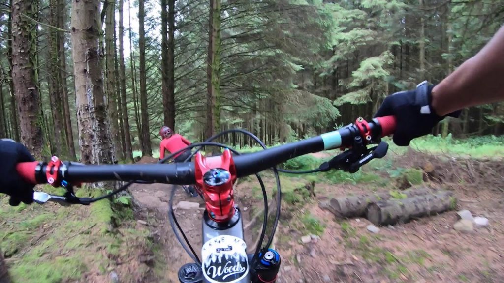 Bike Park Wales - Root Manoeuvres (Red)