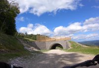 The all new 2019 Shreddie at Killington Bike Park The all new 2019 Shreddie at Killington Bike Park