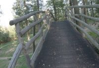 Trails in the middle of the city - XCO course in Brno Anthropos Trails in the middle of the city - XCO course in Brno Anthropos