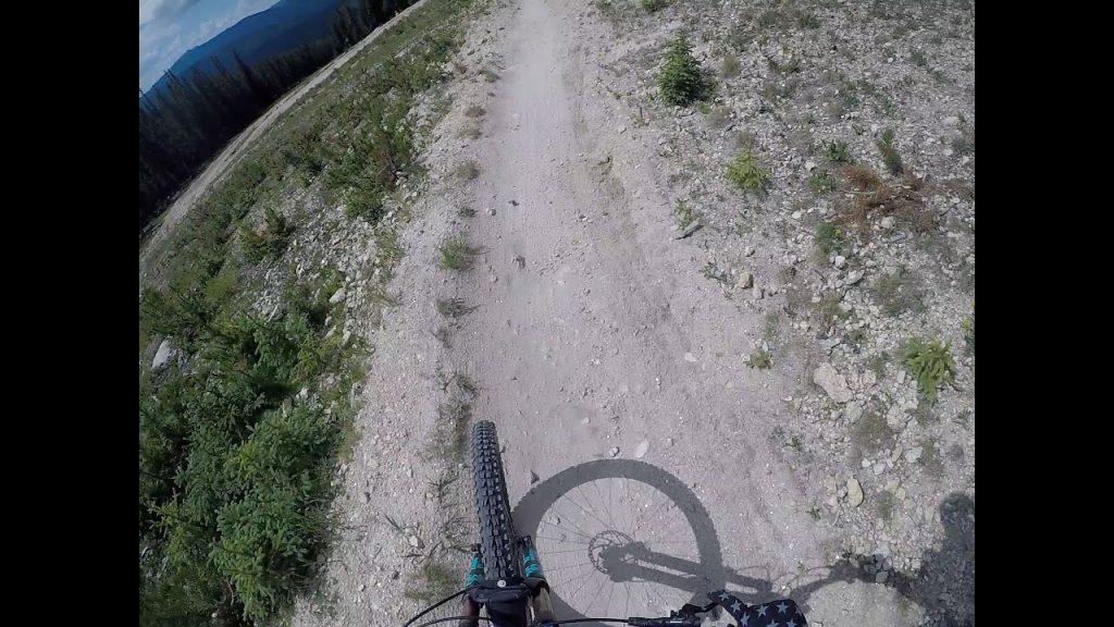 Trestle Bike Park 2019