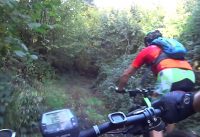 Alvese Maruni bike‬ 2019