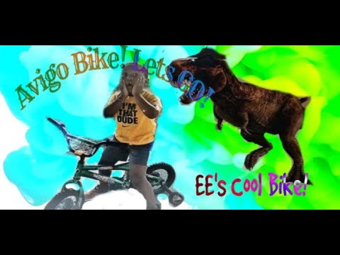 Avigo Boys BMX Bicycle by EE's Cool Toys review