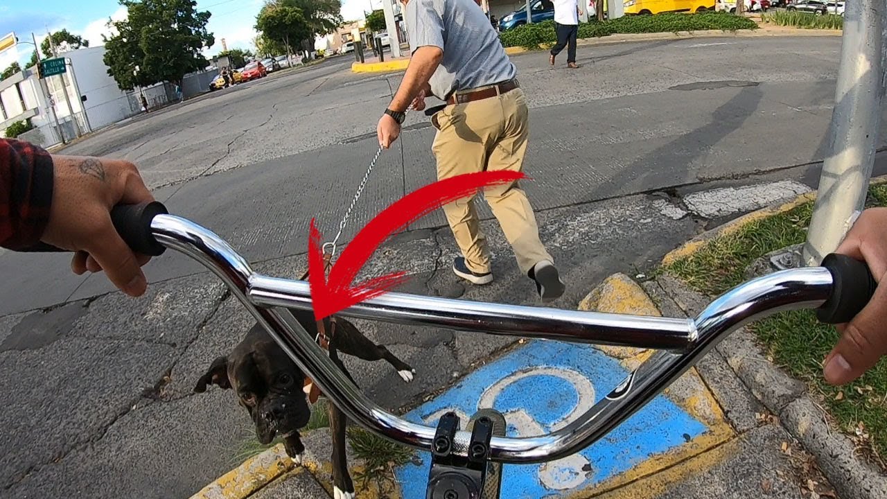 DESPUÉS ESTA SESIÓN DE BMX TERMINE CON MUCHO DOLOR - Observaciones y Sesión en el Skatepark