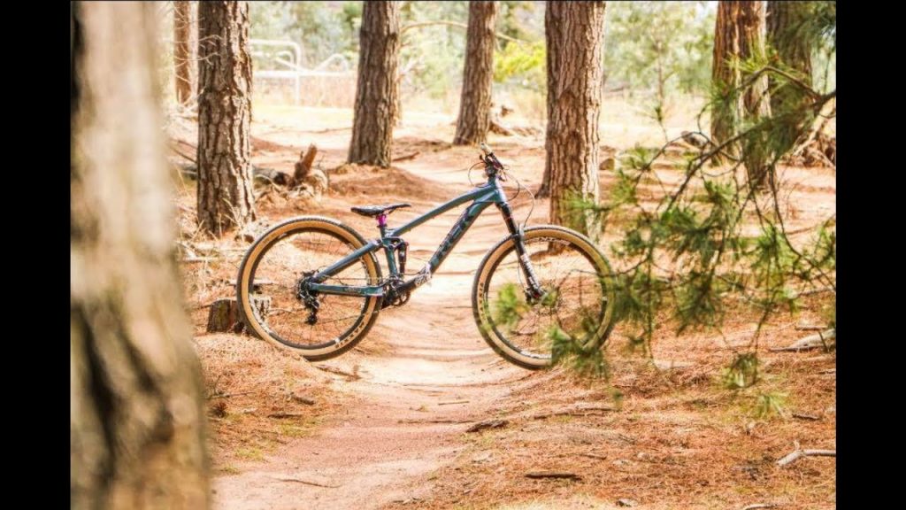 Trek Ticket S 2020 |  Bike Check