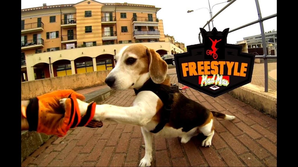 BMX FUN STREET  - Max Cuciti