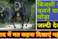 Bijli se chalne wala Ghora  | Electric Horse 2020 | Electric Machine 2020 | New Tech Scheme