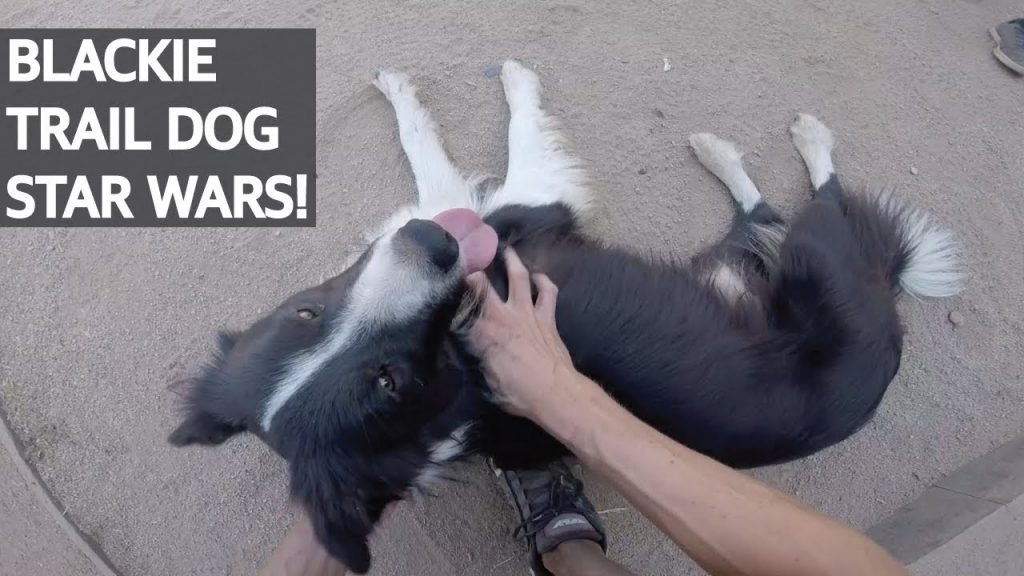 Mountain Bike Enduro en Star Wars con Raimundo y su Trail Dog!