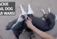 Mountain Bike Enduro en Star Wars con Raimundo y su Trail Dog!