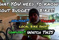 NOT FOR KIDS!!Big Box Store Bike vs LBS Budget Bikes What to Look For..filmed 6 1 19