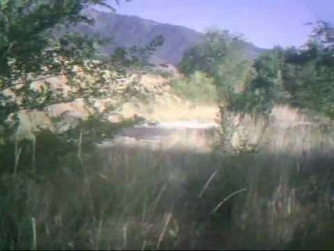 our dirt bmx jumps/track