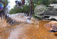 Blue Derby Tasmania (Flickity Sticks Kids) OFF TRACK FILMS Blue Derby Tasmania (Flickity Sticks Kids) OFF TRACK FILMS