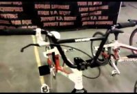 Dutch redline bmx dreamteam ready for 2012 Dutch redline bmx dreamteam ready for 2012