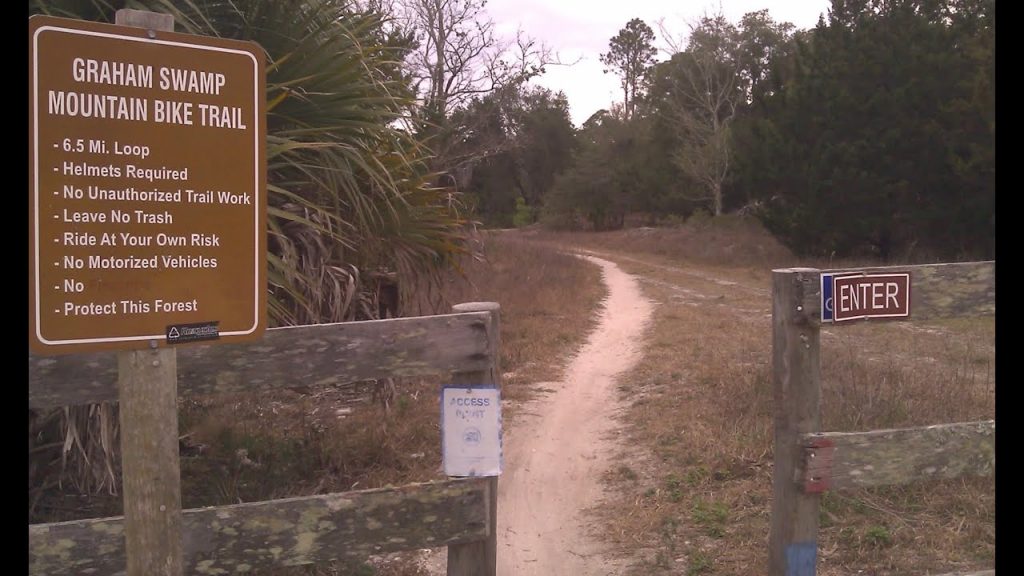 Graham Swamp Mountain Bike Trail (Palm Coast, Florida)