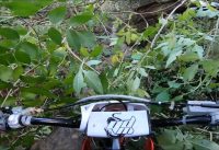 190 BEAST WPB Quick Rip (Raw Footage) 190 BEAST WPB Quick Rip (Raw Footage)