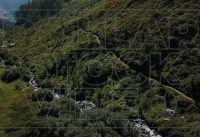 Drone Footage of Mountain Bike Trail and River | Stock Video of Trail and Hiker | 4k 25fps