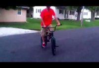 Riding homemade BMX ramps pt.1