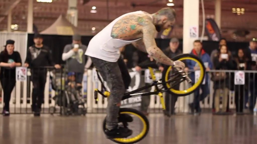 BEST frestyle BMX  top PRO 2017
