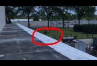 *INSANE BMX CRASH OFF A ROOF* (NOT CLICKBAIT) DON'T TRY THIS AT HOME