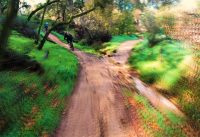 An remarkable video of outstanding Mountain Bike feats An remarkable video of outstanding Mountain Bike feats