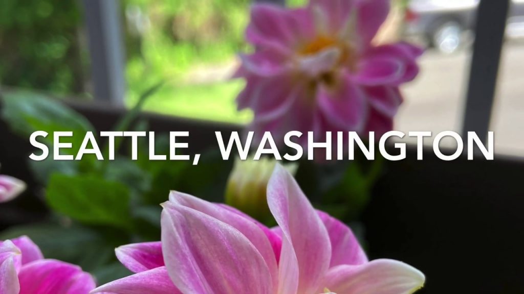 Travel with me - Flowers along the bike trails