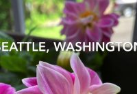 Travel with me - Flowers along the bike trails Travel with me - Flowers along the bike trails