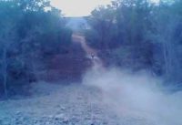 bmx 1.000 gral serra talhada- acidente em uma trilha-.avi