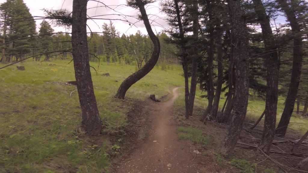 Discovery Bike Park - Roller Girl - Mountain Biking - POV - GoPro - June 2020