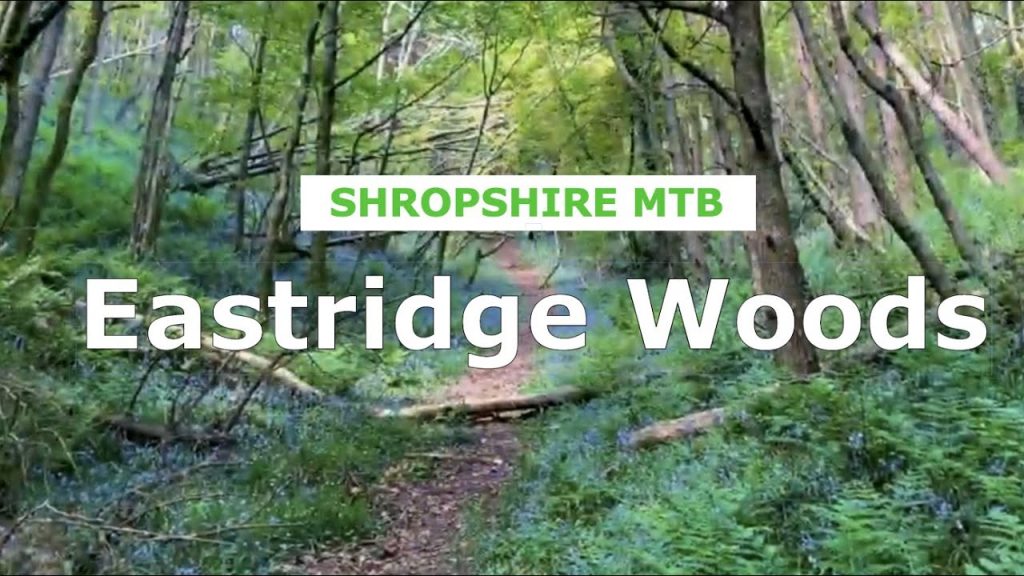 Eastridge Woods - First time, on a 1994 hardtail - Shropshire MTB