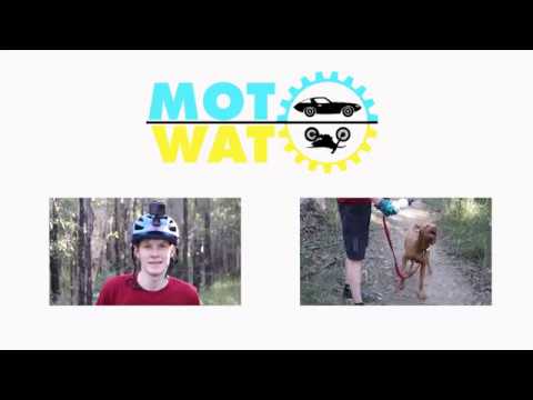 FAST Mountain Bike riding around Westleigh MTB trails with Oscar the Viszla | Trail Dog