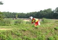 IBA BMX sub truck jumping and rolling IBA BMX sub truck jumping and rolling