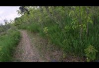 Iwen Park North Loop - 06/22/2020 - GoPro Mountain Bike Footage