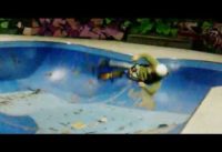 RAMON pisello piccolo_ BMX RAMON pisello piccolo_ BMX