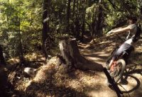 End of Day Braille Trail Downhill Black Diamond Mountain Bike Trail at Demo Forest End of Day Braille Trail Downhill Black Diamond Mountain Bike Trail at Demo Forest