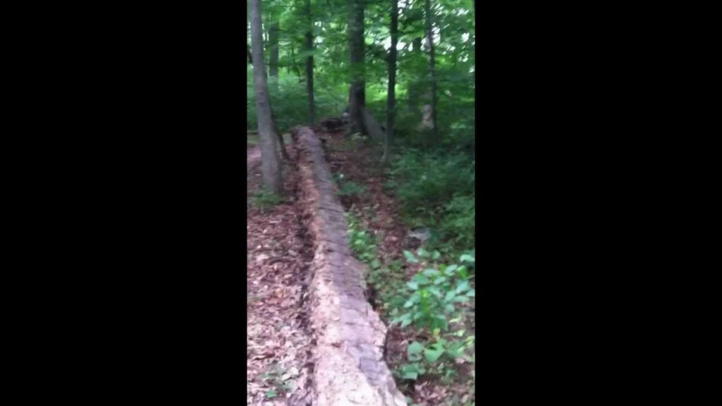Sick Skillz-Mountain Bike Phenom