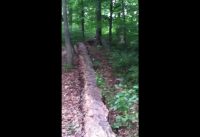 Sick Skillz-Mountain Bike Phenom