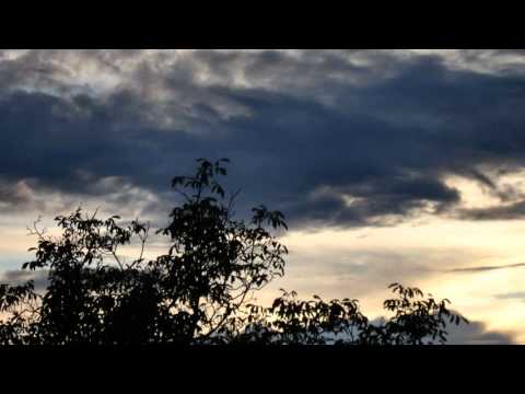 desolate bmx - cracked asphalt and tall pines