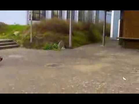 BMX Fail :))