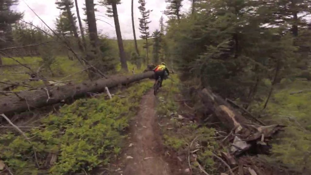 Discovery Bike Park - Mountain Biking - POV - GoPro - June 2020
