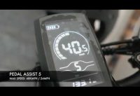 Electric bike 204 0inch Folding Powerful electric Bicycle 500W 48V12 5A Battery Mountain e bike Cycl