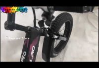 Folding Electric Bike 1000W Motor with 48V 14Ah Samsung Removable Lithium Ion Battery 20 inch Ebike