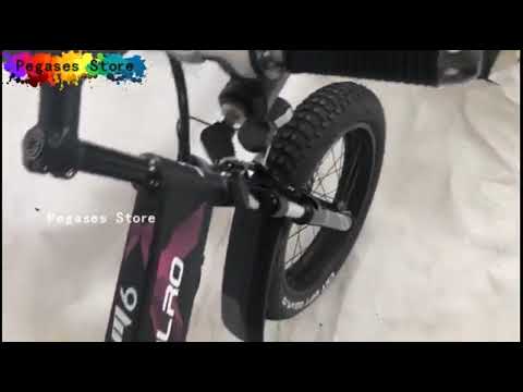 Folding Electric Bike 1000W Motor with 48V 14Ah Samsung Removable Lithium Ion Battery 20 inch Ebike