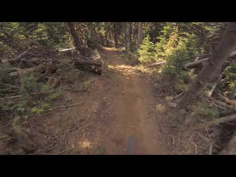 Big Sky Bike Park - NEW TRAIL August 2020 - Scherminator - POV - Mountain Biking