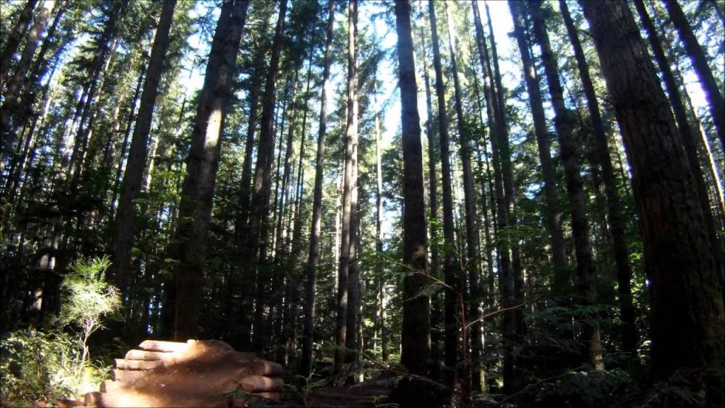 Duthie Hill Mountain Bike Park July 30, 2011